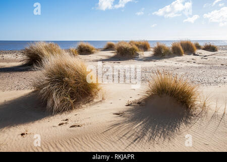 Avis de covehithe et benacre large sur la côte du Suffolk Banque D'Images