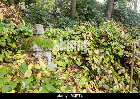 Lanternes en pierre Sapokka japonais dans le parc à Kotka, en Finlande. Banque D'Images