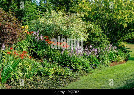 Grand lit avec vivaces et arbustes à fleurs. Banque D'Images