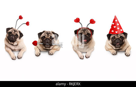 Quatre mignons petits chiens chiot pug Valentine, avec des coeurs, accrochant sur bannière blanche, isolée Banque D'Images