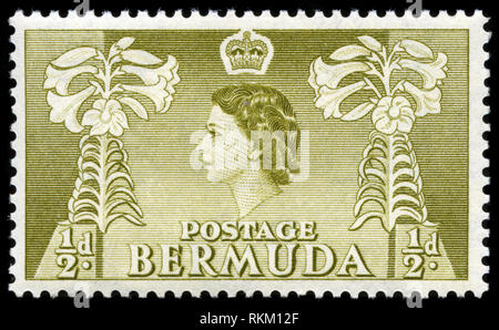 Timbre-poste en provenance des Bermudes dans le pays a publié en 1953 la série des mobiles Banque D'Images