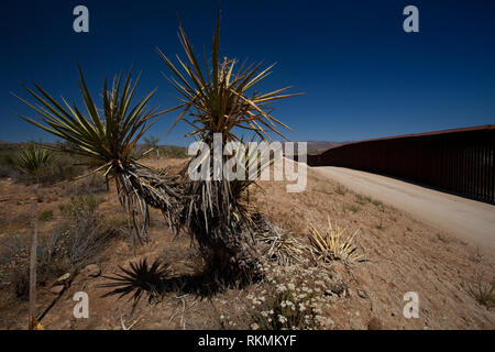 Jacumba, San Diego County, Californie, USA Banque D'Images