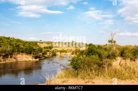 Mara River dans le Masai Mara. River entre les arbres. Au Kenya. Banque D'Images