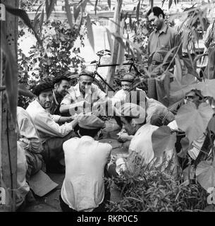 Uyghur hommes jouant aux cartes dans la région de Kashgar, la Province du Xinjiang, en Chine. Création en noir et blanc Banque D'Images