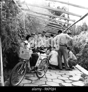 Uyghur hommes jouant aux cartes dans la région de Kashgar, la Province du Xinjiang, en Chine. Création en noir et blanc Banque D'Images