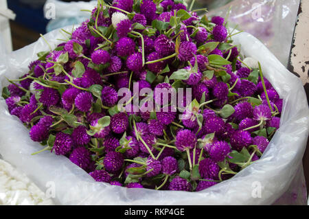Bangkok, Thaïlande, Pak Khlong Talat market stall avec sac de purple globe amarante fleurs à vendre Banque D'Images