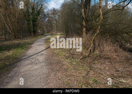 Sentier à travers la réserve naturelle Landes Winnall Hampshire et l'île de Wight Wildlife Trust Réserver Winchester Hampshire England UK Mars 2016 Banque D'Images