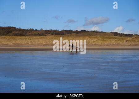 L'équitation sur la plage de Newton, près de Porthcawl, Nouvelle-Galles du Sud Banque D'Images