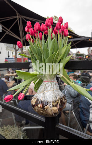 Un bouquet de tulipes rouges enveloppés de papier aluminium avec ampoules visibles Banque D'Images