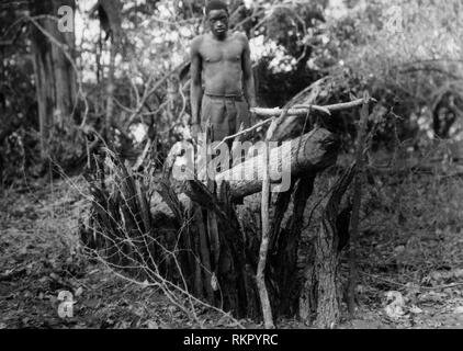 Piège des léopards, Congo belge, l'Afrique 1927 1930 Banque D'Images