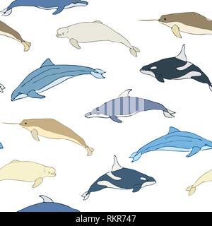 Modèle d'une caricature des baleines. Ensemble d'espèces de baleines sur un fond blanc. Vector Illustration Illustration de Vecteur