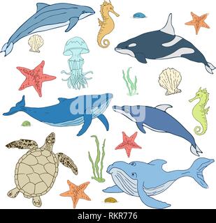 Ensemble de dessins de créatures marines. Les mammifères marins l'illustration. Vector illustration Illustration de Vecteur