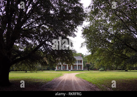 Springfield Plantation avec une maison d'avant situé près de Fayette dans le comté de Jefferson, Mississippi, États-Unis d'Amérique. Dans le Bâtiment US Na Banque D'Images