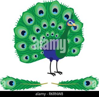 Vector cartoon animal oiseau paon animé clipart Illustration de Vecteur