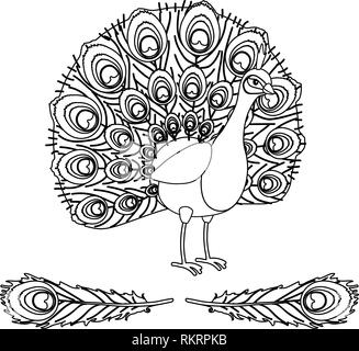 Vector cartoon animal oiseau paon animé clipart Illustration de Vecteur