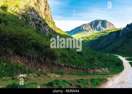 Campagne étonnante en Roumanie montagnes. d'immenses falaises au-dessus de prairies herbeuses. Les bovins de vaches qui paissent dans la distance. route en à la gorge. Belle l Banque D'Images