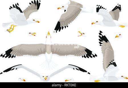 Cartoon vector sea gull mouette cliparts set Illustration de Vecteur