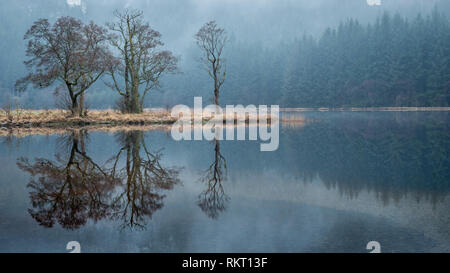 Réflexions de trois arbres dans les eaux calmes du Loch Chon dans les Highlands écossais Banque D'Images