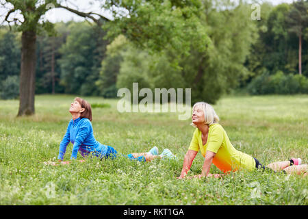 Deux femmes âgées de faire un exercice de yoga sur une prairie en été Banque D'Images