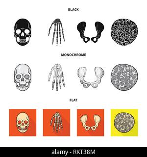 Crâne,poignet,ostéoporose de la hanche,la mort,main,,joints,cell,monster,bassin,calcium,tissus,le mal,chirurgie,structure,horreur,conjonctif,sain,bras,tatouage,cartilage,carpe,fémur,santé,tête,l'appareil locomoteur,eye,joints,rx,system,l'enfer,médecine, biologie médicale,clinique,os,squelette,anatomie,des,organes,,set,icône,,illustration,collection,isolé,design,graphisme,élément vecteur vecteurs,signer , Illustration de Vecteur