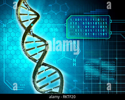 Structure de l'ADN, converti en code binaire. Illustration numérique. Banque D'Images