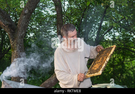 Portrait plein air de paysanne ukrainienne en travaillant dur propre rucher Banque D'Images