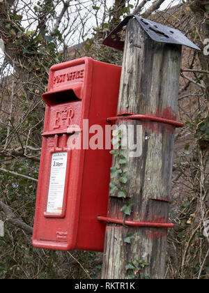 WELCOMBE BOUCHE, Hartland, Devon, Angleterre, Royaume-Uni. 8 mars 2005. Rural, peint rouge vif ER11 Bureau de poste lettre fort sur un poste couvert de lierre de Pise Banque D'Images