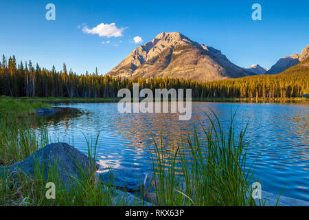 La montagne dans la vallée de pulvérisation Buller Provincial Park, Kananaskis, Alberta, Canada reflétant dans l'étang de Buller Banque D'Images