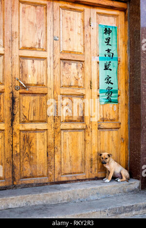 Chien assis devant la porte en Chine Banque D'Images