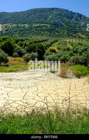 12.2005, étang desséché, la suite de la sécheresse en Espagne, dans la Sierra Subbética, province de Cordoue, Andalousie, espagne. Banque D'Images