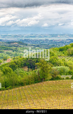 Domaine viticole dans un paysage italien Banque D'Images