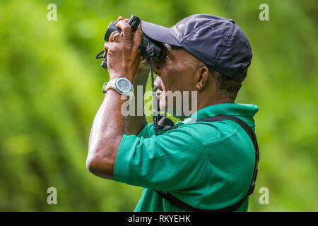 L'observation des oiseaux et de la nature tour guide Newton George à Tobago Main Ridge Forest Reserve, Site du patrimoine mondial de l'UNESCO ; Trinité-et-Tobago. Banque D'Images