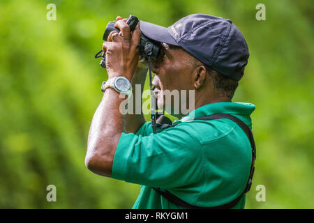 L'observation des oiseaux et de la nature tour guide Newton George à Tobago Main Ridge Forest Reserve, Site du patrimoine mondial de l'UNESCO ; Trinité-et-Tobago. Banque D'Images