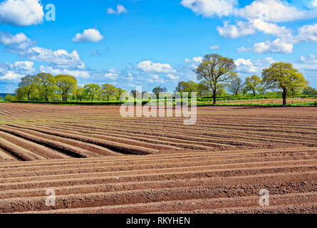 Un printemps vue d'un champ labouré dans la campagne de Cheshire rural. Banque D'Images