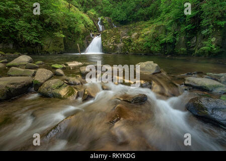 Sweet Creek cascades, forêt nationale de Siuslaw, Oregon. Banque D'Images