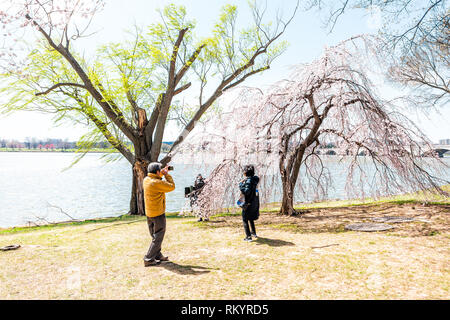 Washington DC, USA - 5 Avril 2018 : les touristes asiatiques couple taking photos de fleur de cerisier sakura trees in spring avec rivière Potomac memorial Banque D'Images