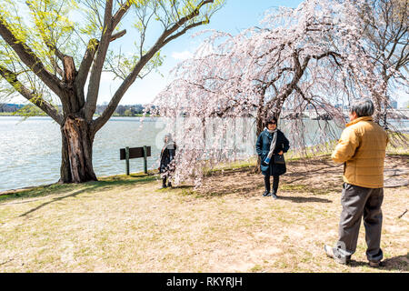 Washington DC, USA - 5 Avril 2018 : les touristes gens couple taking pictures par sakura cherry blossom trees in spring avec rivière Potomac memorial bridge Banque D'Images