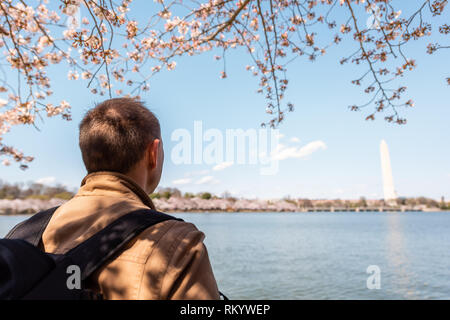 Young man looking at view on Tidal Basin et Washington monument pendant cherry blossom festival sous sakura branche d'arbre en DC Banque D'Images