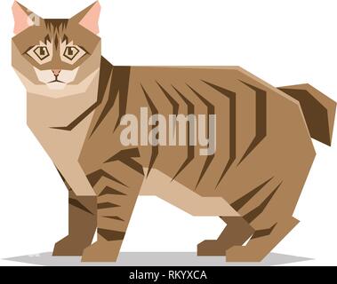 Race de chat Bobtail américain sur fond blanc Illustration de Vecteur