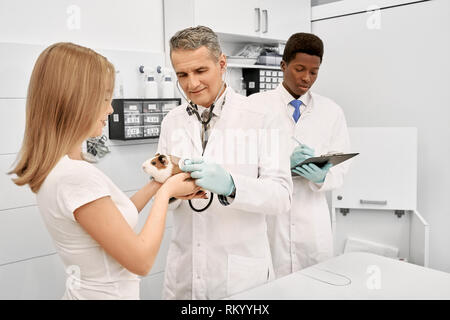 Femme, propriétaire holding hamster dans les mains si le médecin examinant animal avec stéthoscope. Assistant de l'Afrique de l'écriture dans le dossier. Vétérinaire professionnel en portant des gants et blouse médicale. Banque D'Images