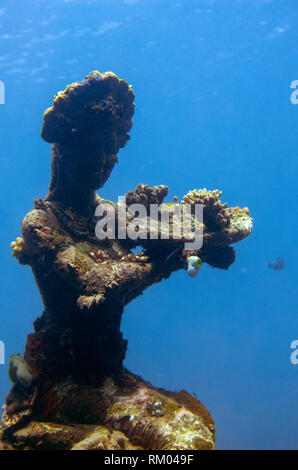 Underwater statue, Jemeluk Bay Gallery site de plongée, Amed, à l'Est de Bali, l'Indonésie, de l'Océan Indien Banque D'Images
