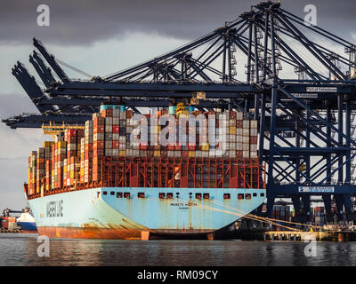 Commerce international - des conteneurs de transport d'être chargés et déchargés d'un navire porte-conteneurs Maersk dans le port de Felixstowe Royaume-uni. Banque D'Images