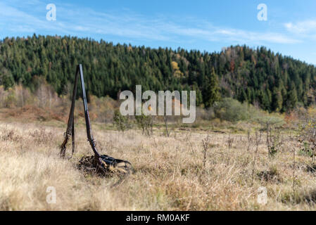 Deux fusil à double branche sur la clairière dans la forêt. Équipements de chasse. Sport de plein air Banque D'Images