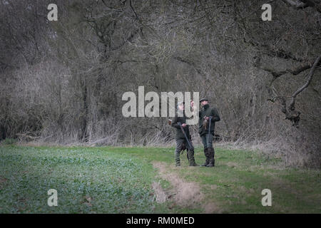 Jeu traditionnel anglais dans la campagne d'automne de tir des armes à feu avec les chiens. Banque D'Images