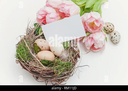 Maquette de carte de vœux de printemps. Tulipe rose fleurs bouquet, œufs de Pâques dans le nid et carte sur un fond de bois. Post blog médias sociaux,voir Banque D'Images