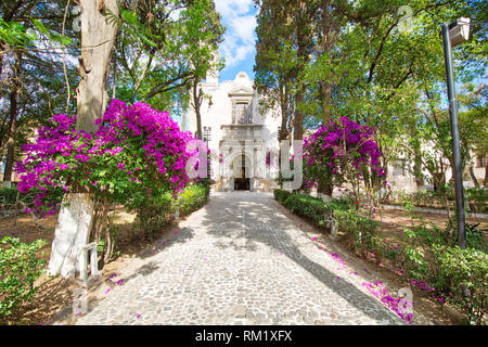 Atrium d'Olives (Atrio de los Olivos) parc en face de Francisco Javier Eglise en Tepotzotlan Banque D'Images