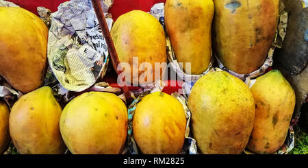 Pile de papayes fraîches couvertes sur prêt pour la vente de journaux mexicains dans un marketx» Banque D'Images