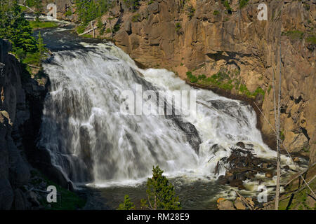 WY03466-00...WYOMING - Gibbon Falls dans la Gibbon River Gorge du Parc National de Yellowstone. Banque D'Images