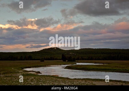 WY03472-00...WYOMING -Lever du soleil illuminant l'Gibbin River comme il coule à travers prés Gibbon dans le Parc National de Yellowstone. Banque D'Images