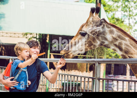 Père et fils de regarder et d'alimentation girafe zoo. Happy kid s'amusant avec les animaux du parc safari sur chaude journée d'été Banque D'Images
